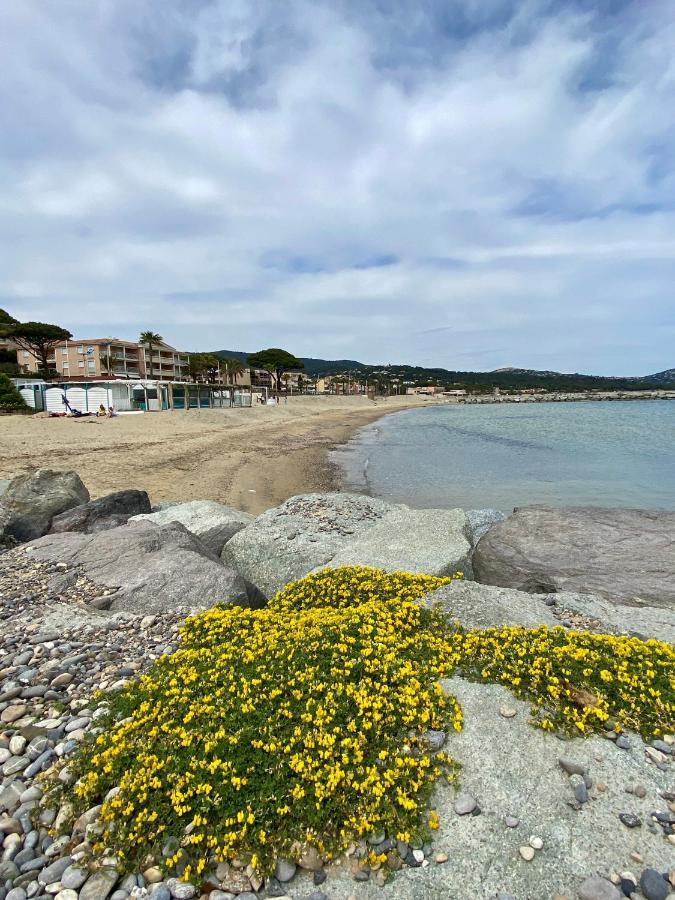 Studio 150 m de plage Golfe de Saint-Tropez Cavalaire-sur-Mer Buitenkant foto